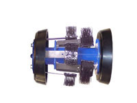 EBS Brush Pig Photo